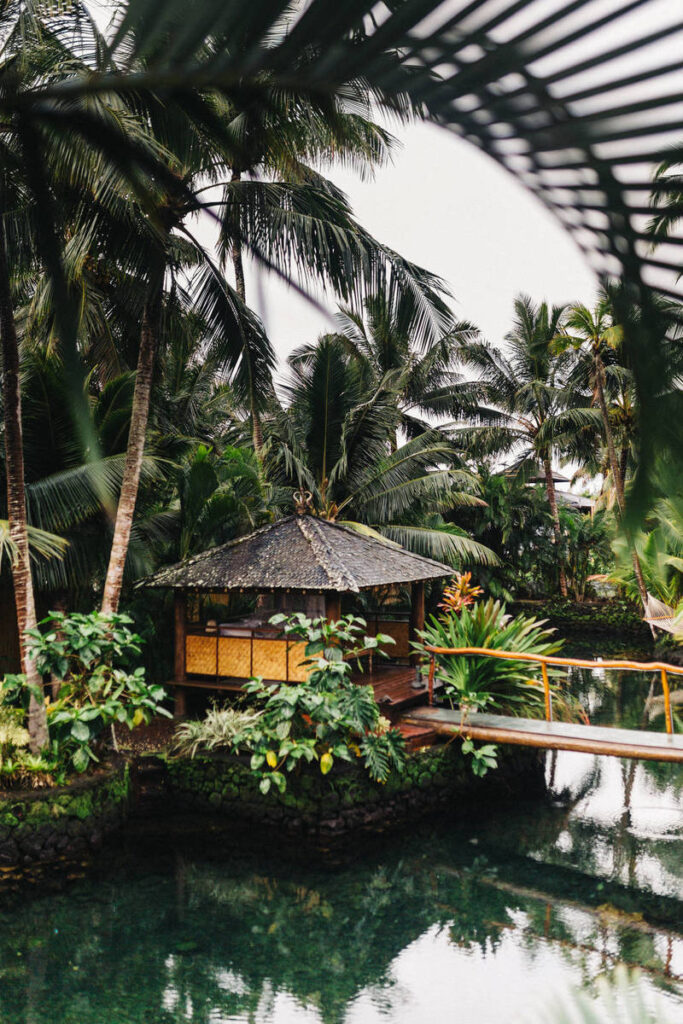 ‘Wonder Woman 1984’ to Debut Both on HBO Max and in Theaters ‘Wonder Woman 1984’ to Debut Both on HBO Max and in Theaters